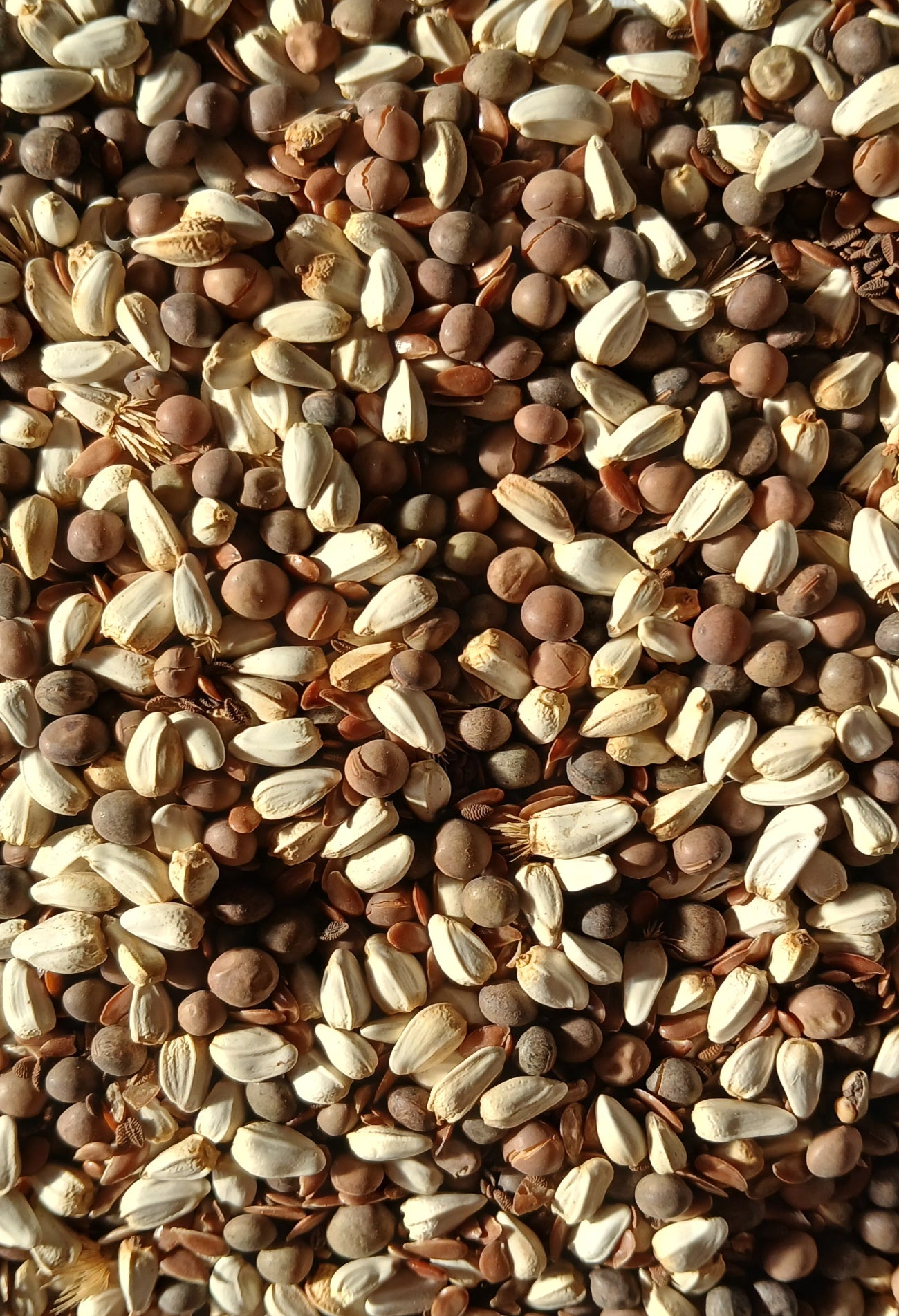 Kifagyó négyes vetőmag keverék