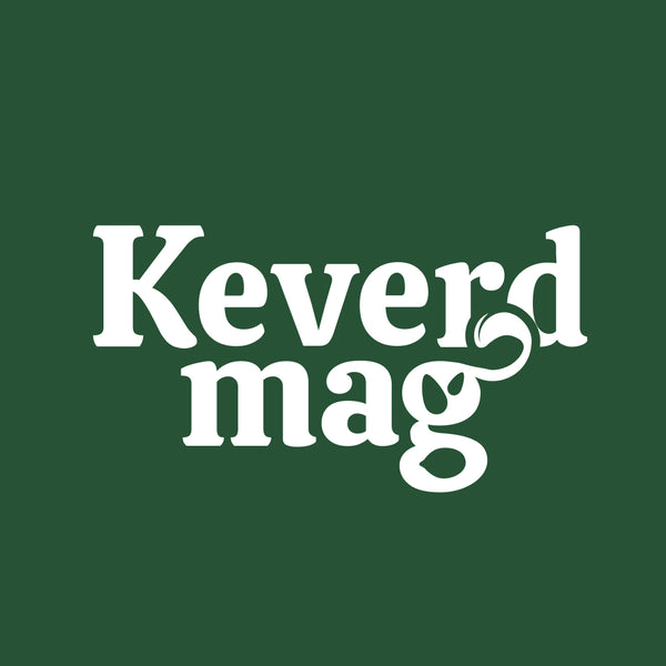 Keverdmag