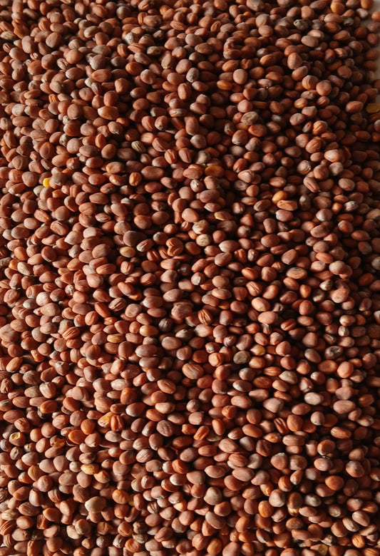 Tillage retek vetőmag fémzárolt